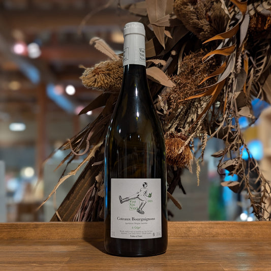 コトー・ブルギニョン ア・ジェジェ 2023